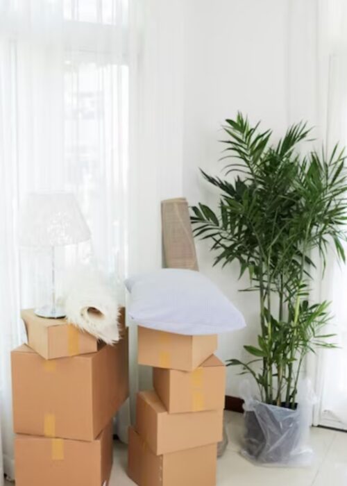 cochin packers and movers